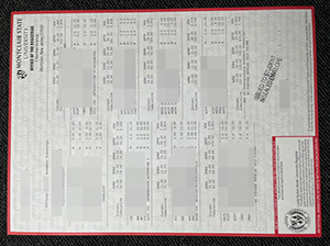 蒙特克莱尔州立大学成绩单-1