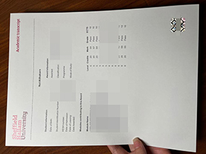 谢菲尔德哈勒姆大学成绩单-1