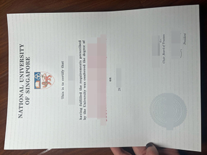 新加坡国立大学毕业证-1