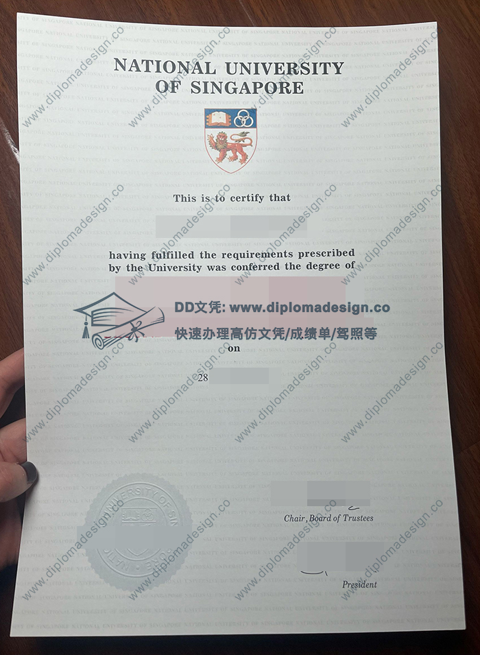 新加坡国立大学毕业证