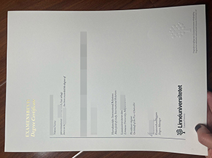 林奈大学文凭-1