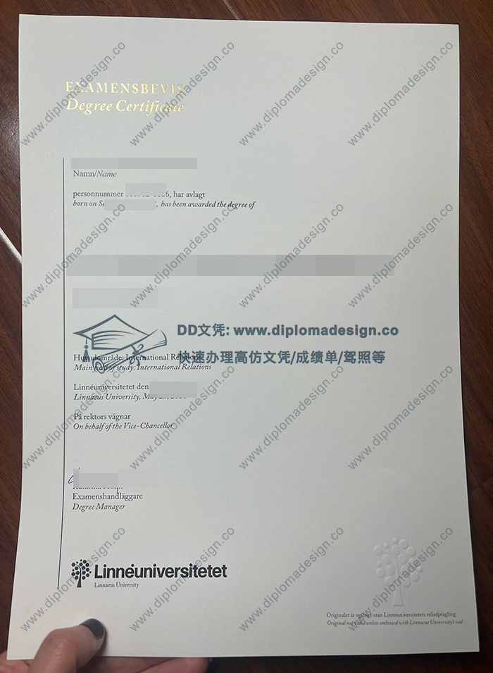 林奈大学文凭
