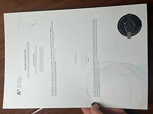 阿尔托大学文凭-1