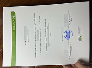 IST管理学院文凭-1