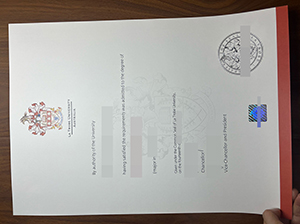 乐卓博大学文凭-1