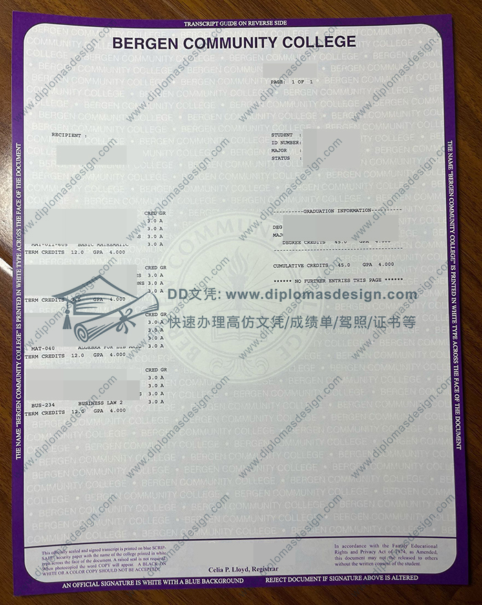 卑尔根社区学院成绩单