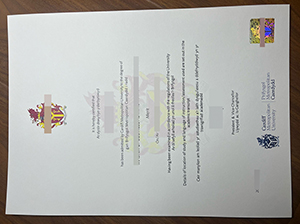 卡迪夫城市大学文凭-1