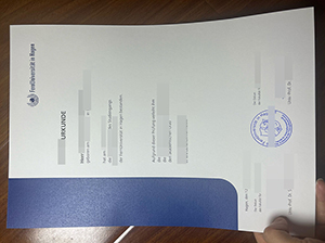 哈根远程大学文凭-1