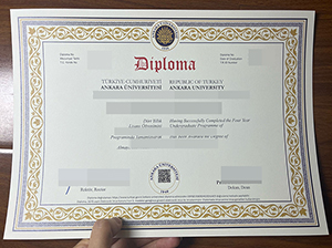 安卡拉大学文凭-1