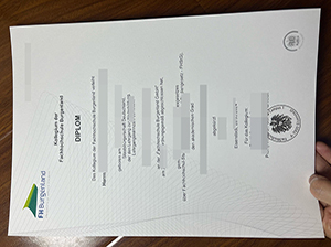 布尔根兰应用技术大学文凭-1