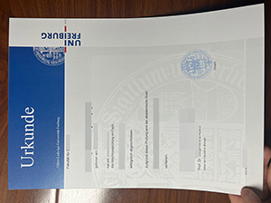 弗莱堡大学文凭-1