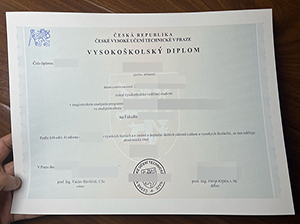 捷克理工大学毕业证-1