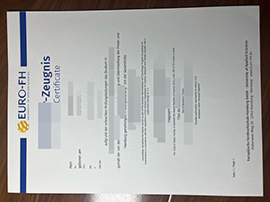 汉堡欧洲远程大学成绩单-1