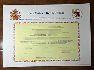米格尔·埃尔南德斯·德埃尔切大学毕业证-1