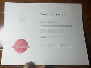 约克大学毕业证-1