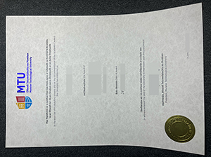 芒斯特理工大学毕业证-1