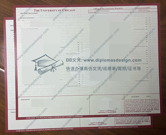 芝加哥大学成绩单