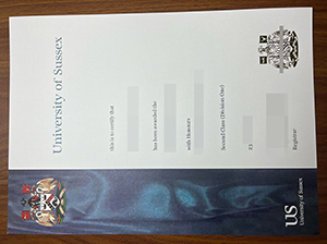 萨塞克斯大学文凭-1