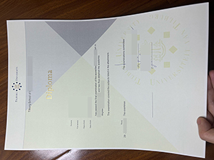 蒂尔堡大学文凭-1