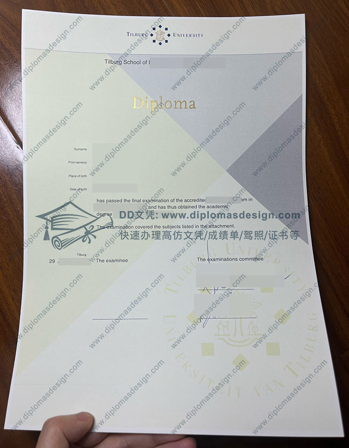 蒂尔堡大学文凭