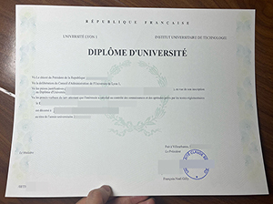 里昂第一大学文凭-1