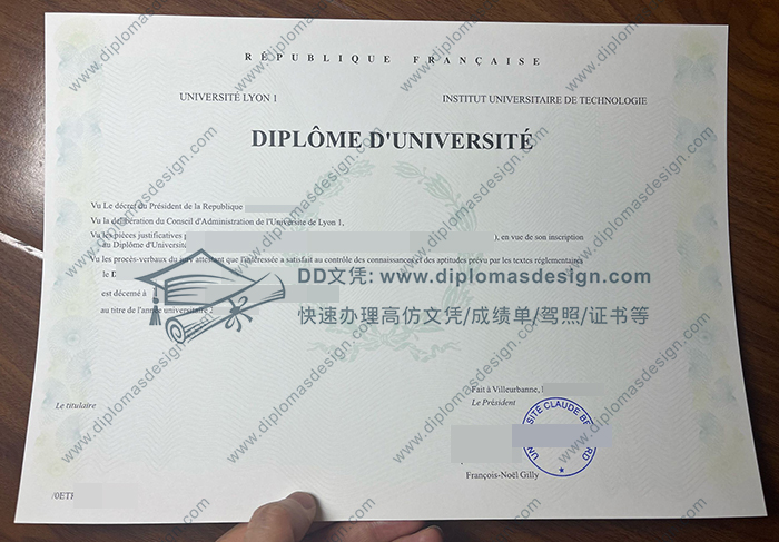 里昂第一大学文凭