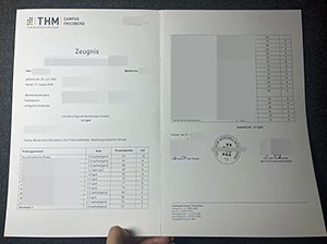 中部黑森工业大学成绩单-1