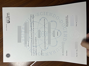 乌尔姆大学毕业证-1