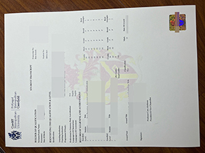 卡迪夫城市大学成绩单-1
