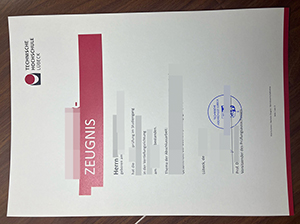 吕贝克应用技术大学成绩单-1