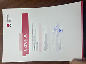 吕贝克应用技术大学文凭-1