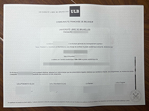 布鲁塞尔自由大学文凭-1