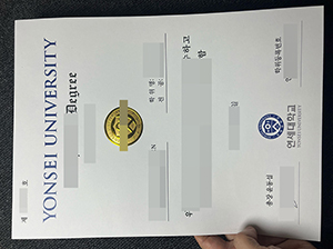 延世大学毕业证-1