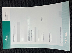 撒克逊应用科技大学文凭-1