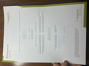 海牙应用科技大学毕业证-1