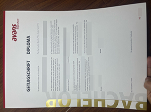 艾文思应用科学大学文凭-1