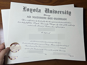 芝加哥洛约拉大学文凭-1