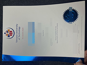 茨瓦尼科技大学毕业证-1