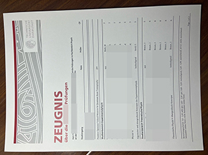 达姆施塔特工业大学成绩单-1