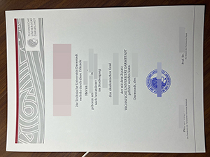 达姆施塔特工业大学文凭-1