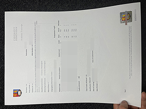 伯明翰大学成绩单-1