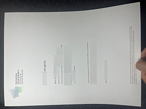 凯泽斯劳滕应用技术大学成绩单-1