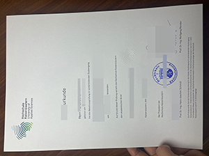 凯泽斯劳滕应用技术大学毕业证-1