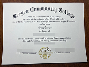 卑尔根社区学院文凭-1