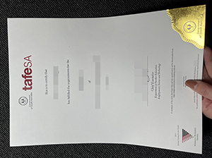 南澳公立技术学院文凭-1