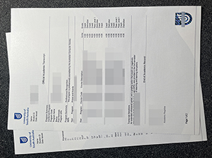 南澳大学成绩单-1