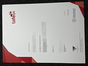 南澳职业技术学院毕业证-1