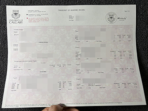 卡尔加里大学成绩单-1
