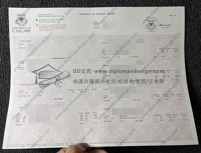 卡尔加里大学成绩单