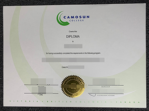 卡莫森学院文凭-1